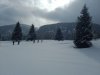 IMG_20250313_0945337341