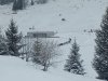 IMG_20250313_1021386701