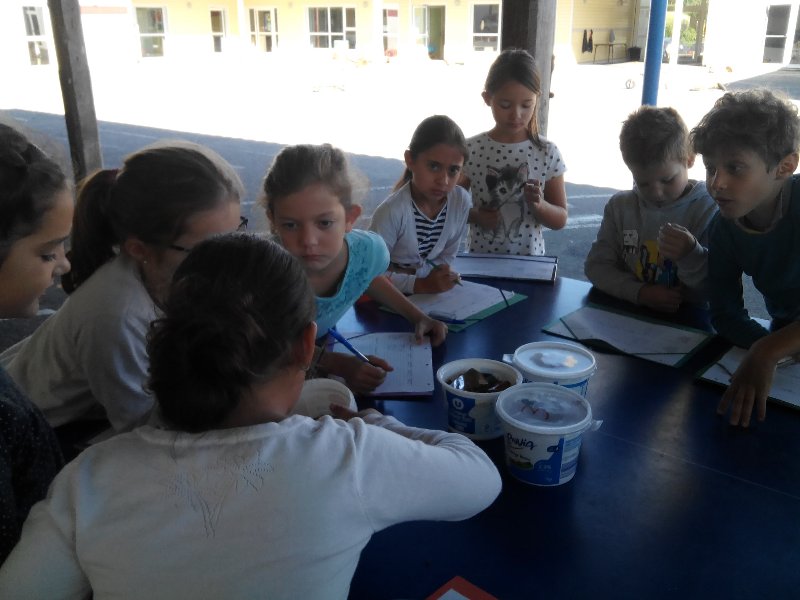 img_20180927_112255 img_20180927_112255