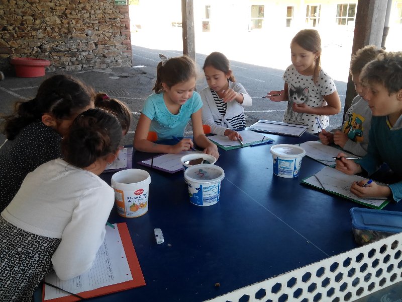 img_20180927_112735 img_20180927_112735