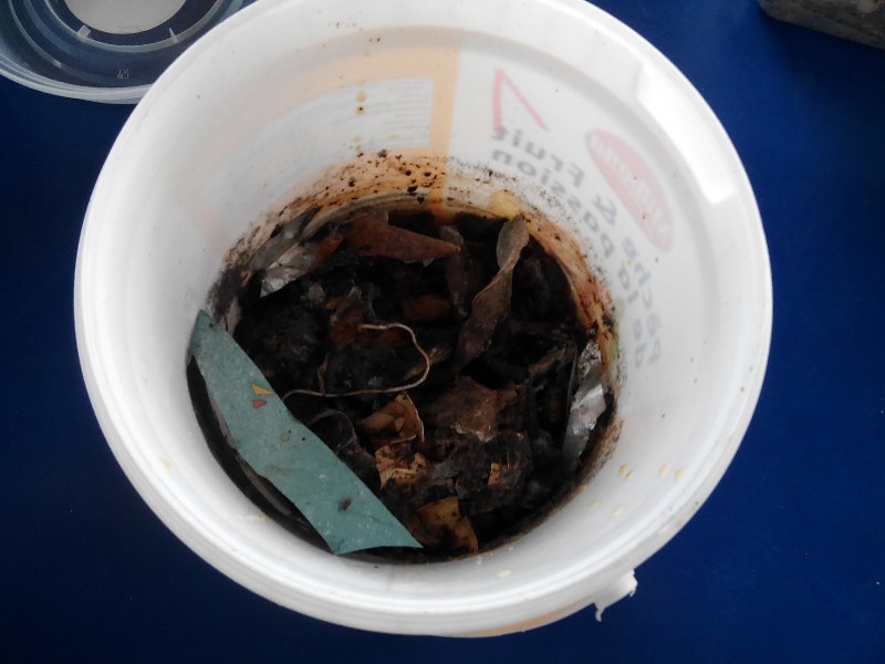 img_20181011_110856 img_20181011_110856