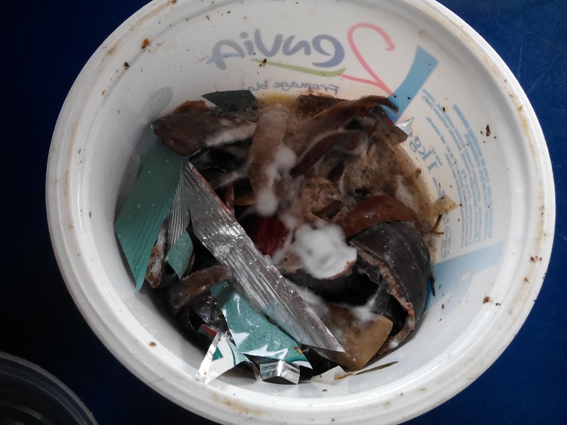 img_20181011_110914 img_20181011_110914