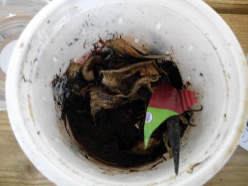 img_20181011_110956 img_20181011_110956