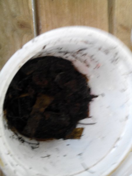 img_20181011_111005 img_20181011_111005