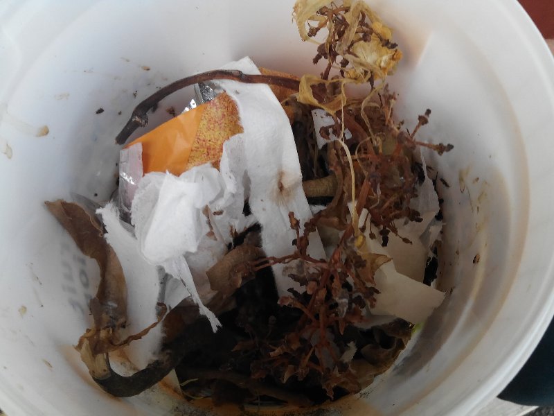 img_20181011_111018 img_20181011_111018