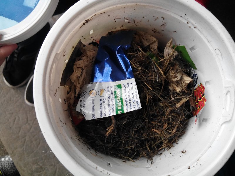 img_20181011_111101 img_20181011_111101