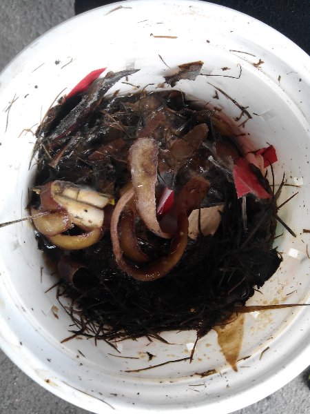 img_20181011_111119 img_20181011_111119