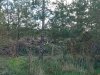 IMG_20230321_100741330