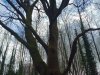 IMG_20230321_102040396