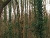 IMG_20230321_102051237