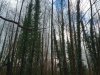 IMG_20230321_102114906