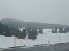 IMG_20250312_0934554531