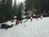 IMG_20250312_1642363841