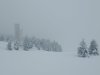 IMG_20230126_150020237