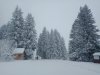 IMG_20230126_153958839