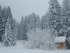 IMG_20230126_154004378